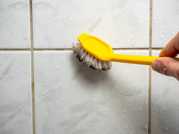 Best Professional Mold Removal  in Tri City, OR