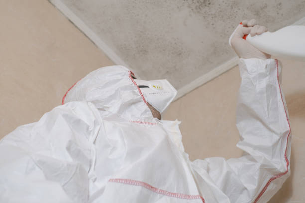 Best Certified Mold Removal  in Tri City, OR