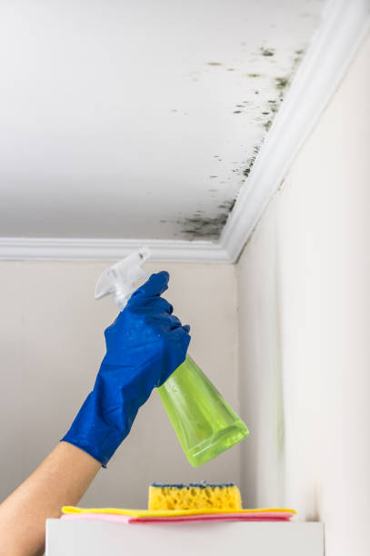 Best Office Mold Removal Services  in Tri City, OR