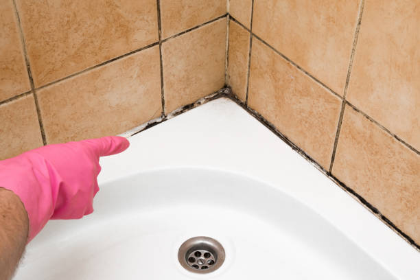 Best Emergency Mold Removal  in Tri City, OR